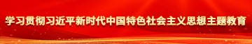 疯狂艹美逼学习贯彻习近平新时代中国特色社会主义思想主题教育